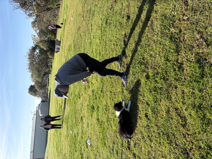 Private Behaviour Training