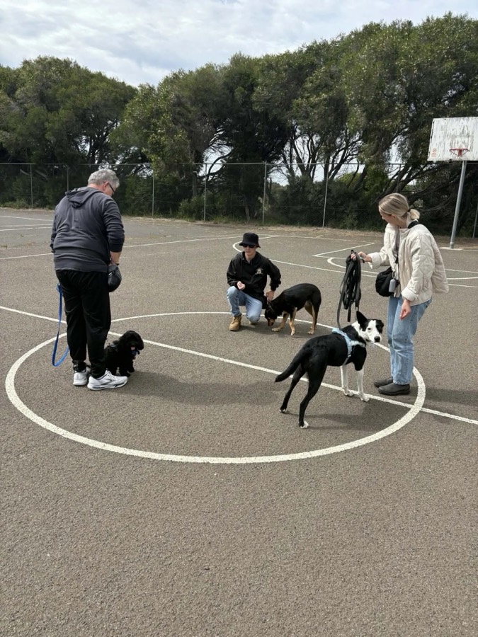 Group Drop-In Classes training session with The Surf Coast Dog Trainer