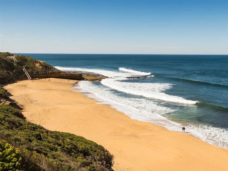 Dog-Friendly Beaches on the Surf Coast: A Local Trainer's Guide