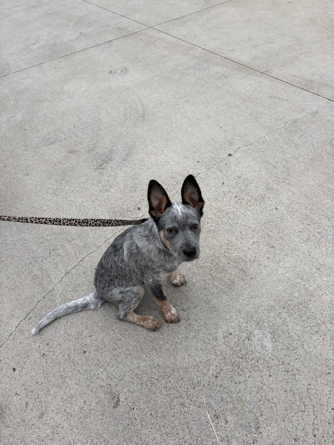 Photo from Chantel Lappin's review
